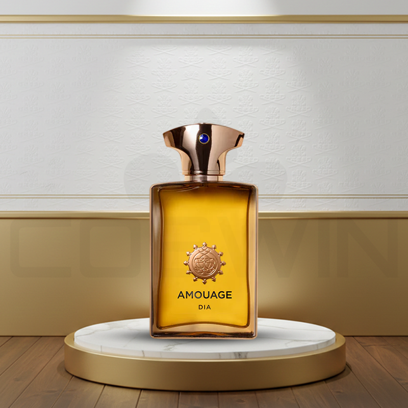 AMOUGE DIA FOR MEN EDP 100ML Eau de Parfum Men Fragrance