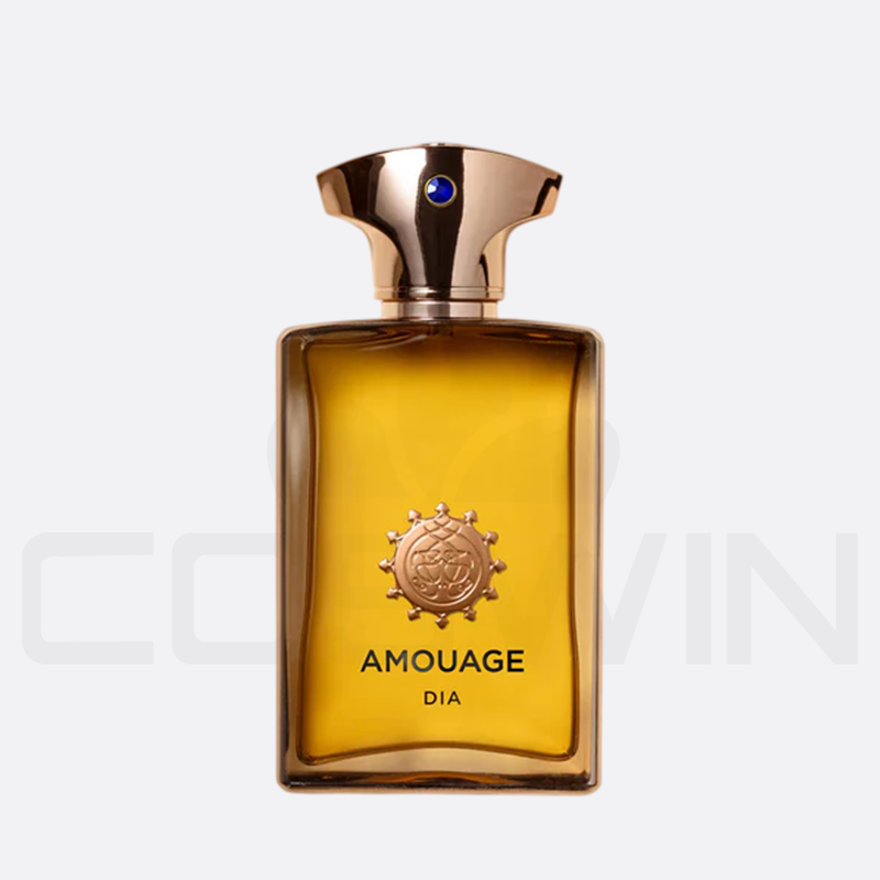 AMOUGE DIA FOR MEN EDP 100ML Eau de Parfum Men Fragrance