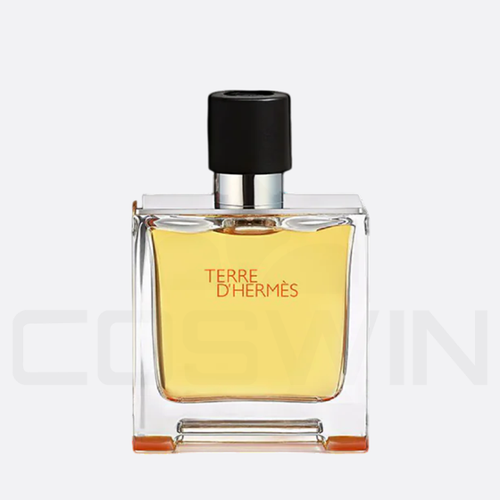 TERRE D’HERMÈS EDT 100 ML Eau de Toilette Men Fragrance