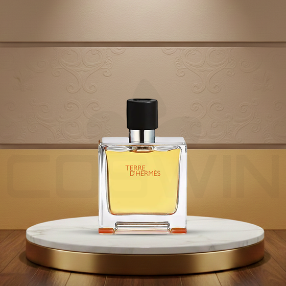 TERRE D’HERMÈS EDT 100 ML Eau de Toilette Men Fragrance