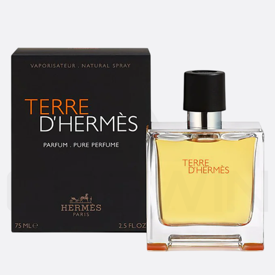 TERRE D’HERMÈS EDT 100 ML Eau de Toilette Men Fragrance