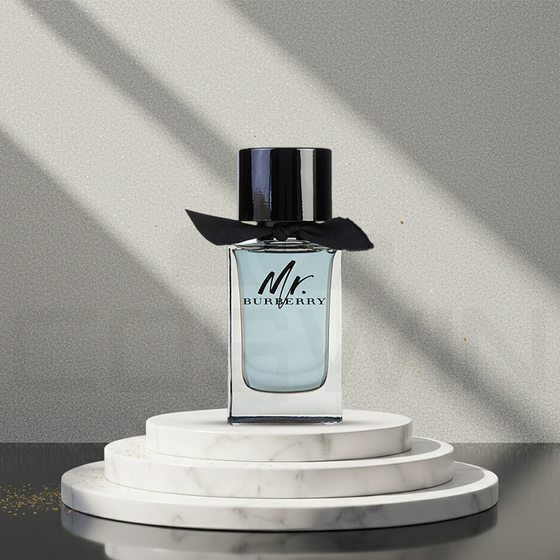 MR BURBERRY 100 ML EDT Eau de Toilette Men Fragrance
