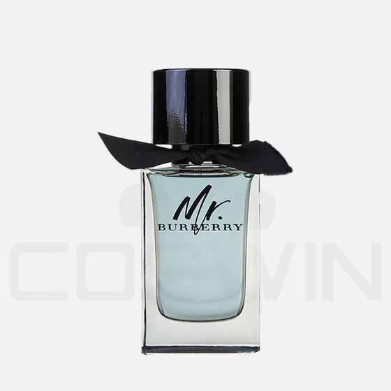 MR BURBERRY 100 ML EDT Eau de Toilette Men Fragrance
