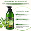 Bioaqua Natural Extraction Olive Anti Dandruff Silky Shampoo