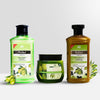 Wellice Hair Growth Solution with Olive & Amla Extract (Shampoo, Oil and Conditioner)
